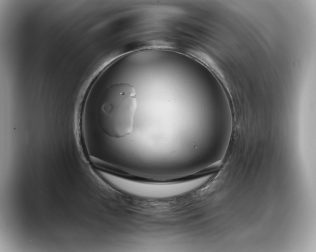 X0000088741243200705311441