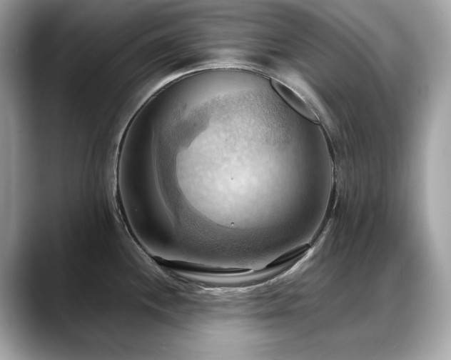 X0000088741244200705311441