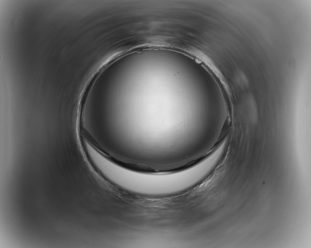 X0000088741245200705311441