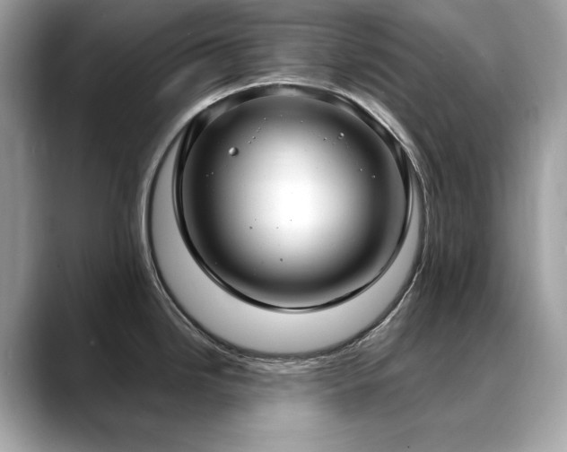 X0000088741246200705311441