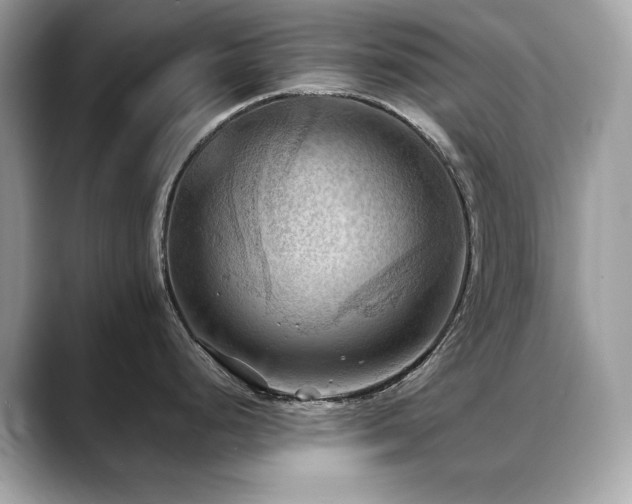 X0000088741248200705311441