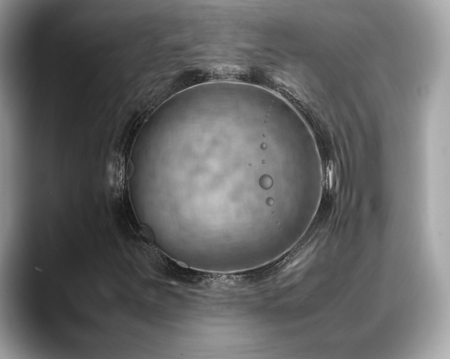 X0000088741251200705311441