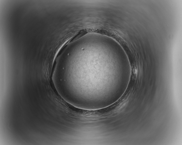 X0000088741252200705311441