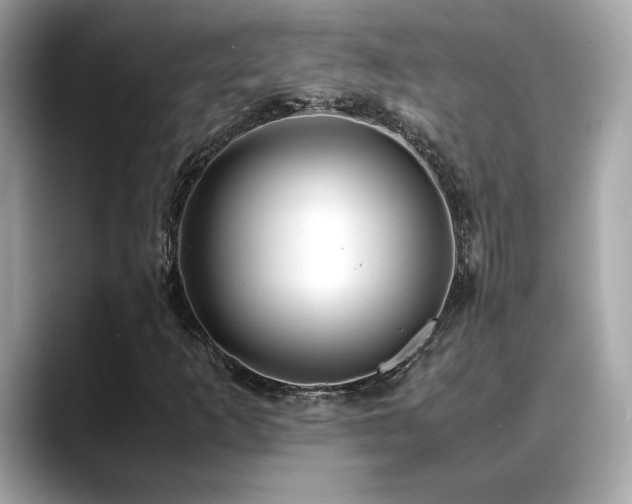 X0000088741253200705311441