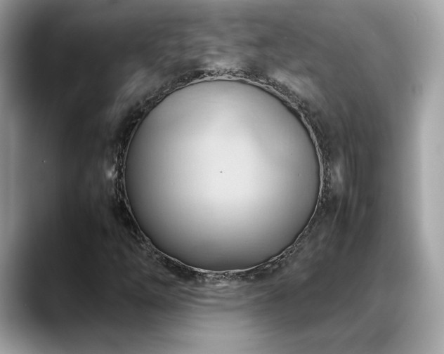 X0000088741254200705311441