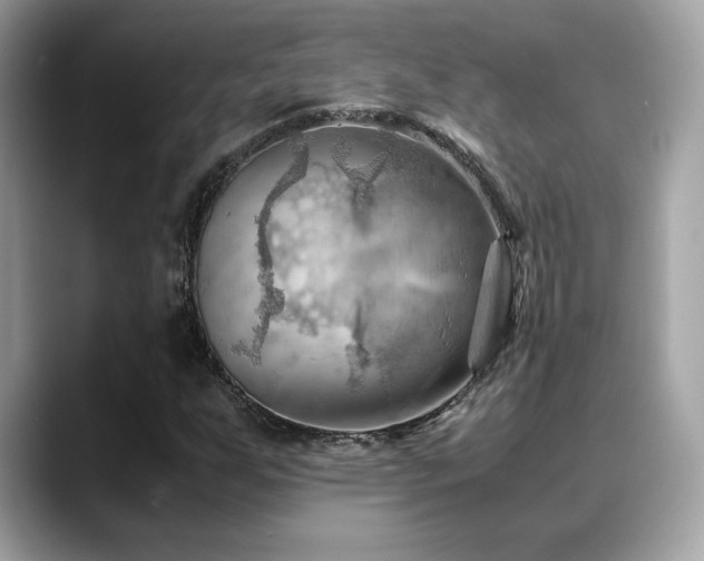 X0000088741255200705311441