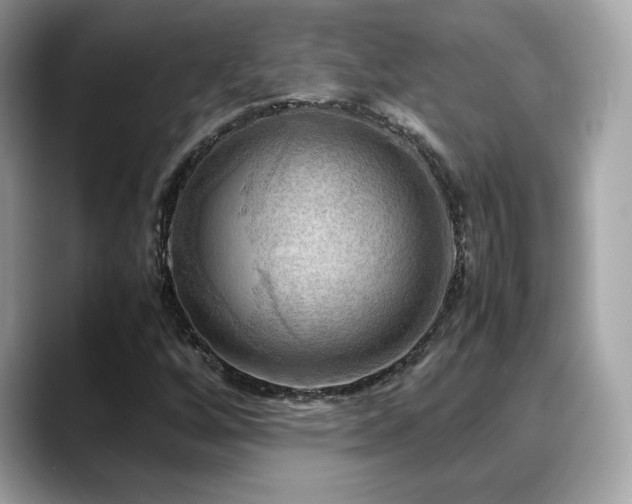 X0000088741256200705311441