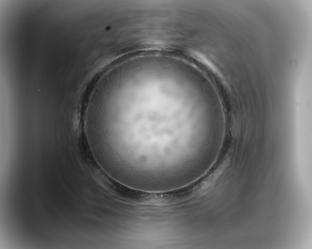 X0000088741259200705311441