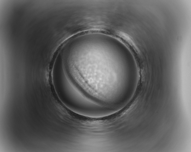X0000088741260200705311441