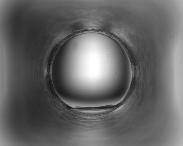 X0000088741261200705311441