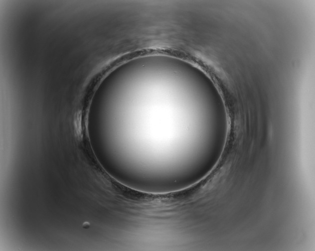 X0000088741262200705311441