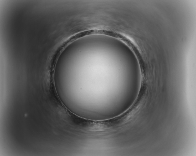 X0000088741263200705311441