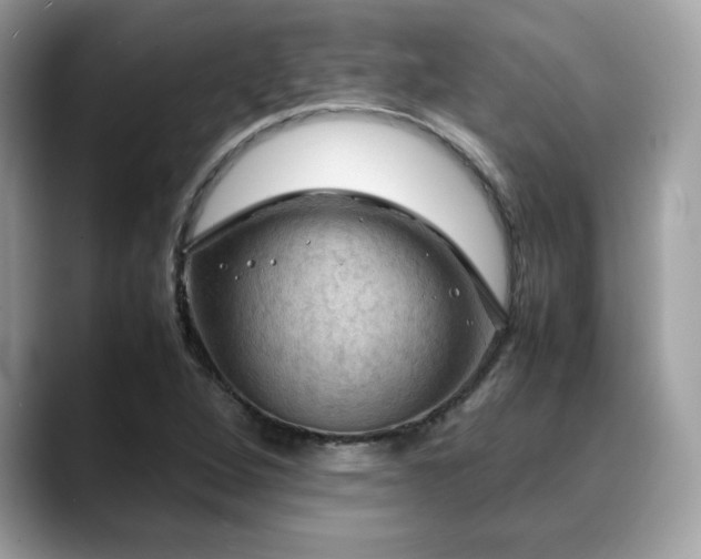 X0000088741264200705311441