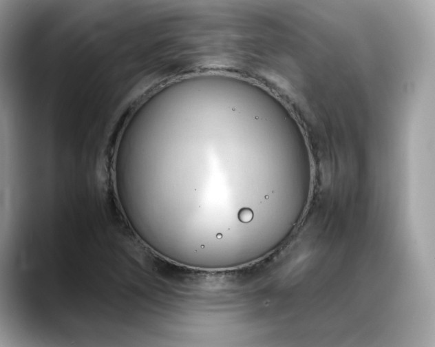 X0000088741266200705311441
