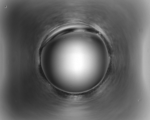 X0000088741269200705311441