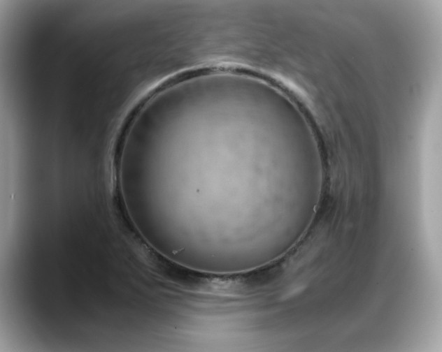 X0000088741271200705311441