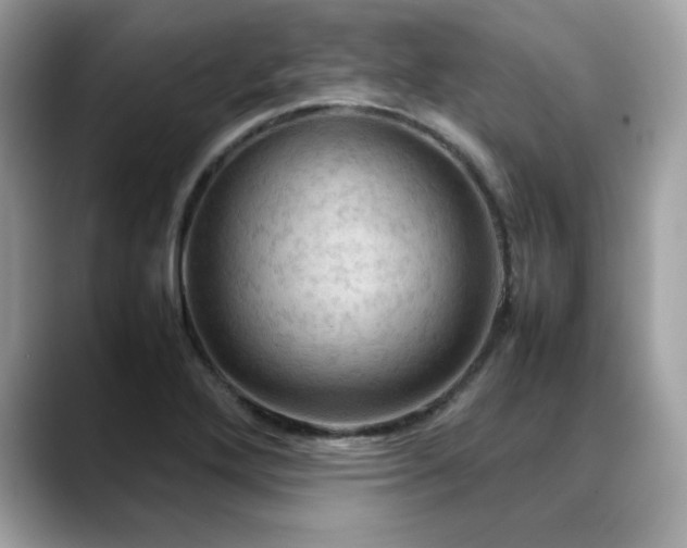 X0000088741272200705311441