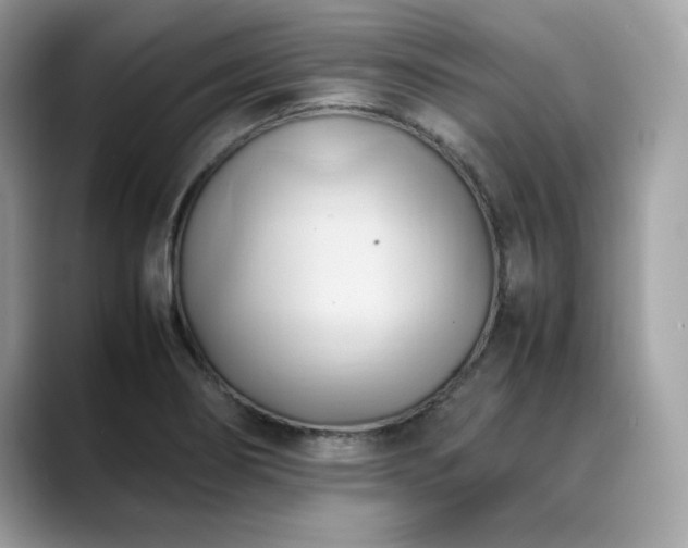 X0000088741274200705311441