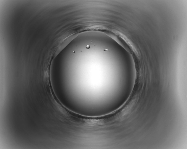 X0000088741281200705311440