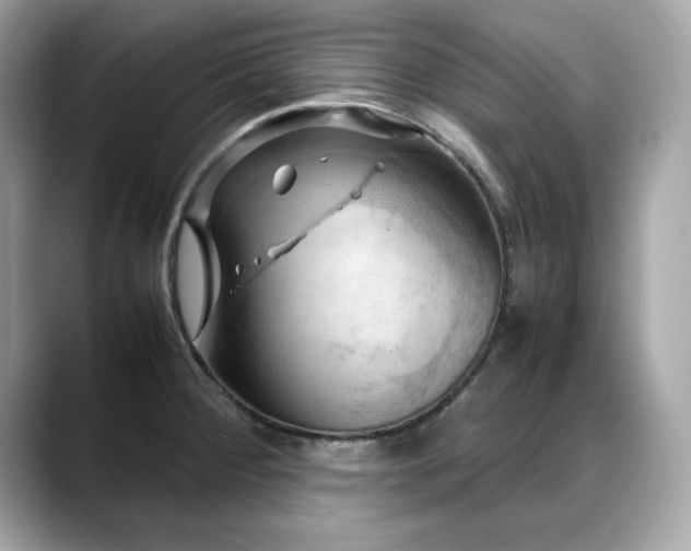 X0000088741284200705311440