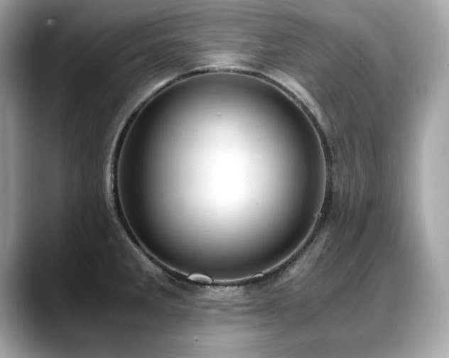 X0000088741285200705311440