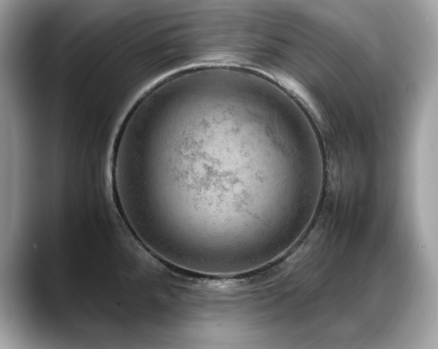 X0000088741288200705311440