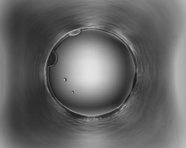 X0000088741291200705311440