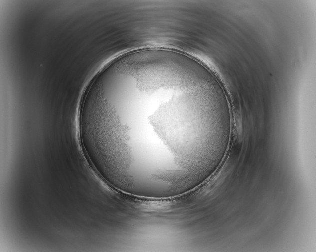 X0000088741294200705311440