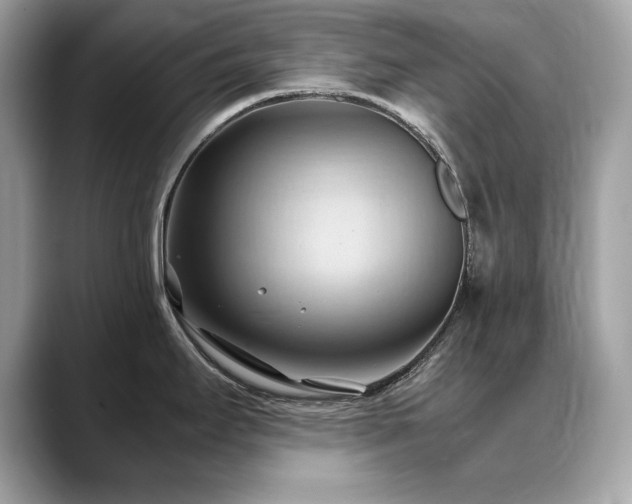 X0000088741295200705311440