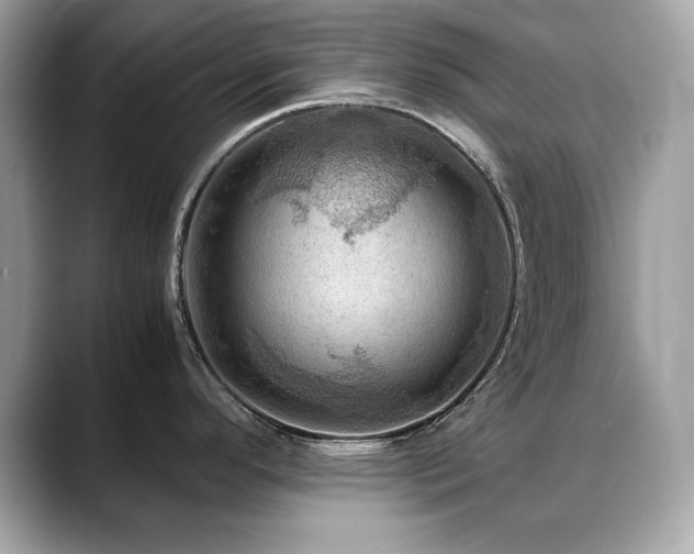 X0000088741296200705311440