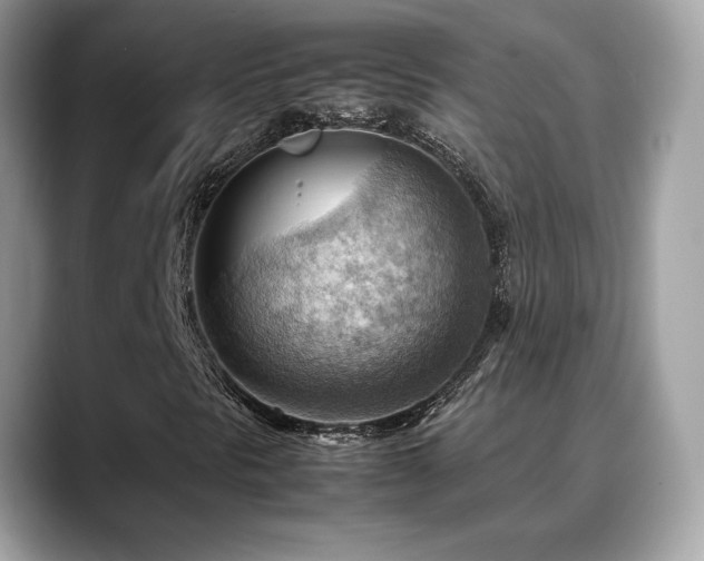 X0000088741297200705311440