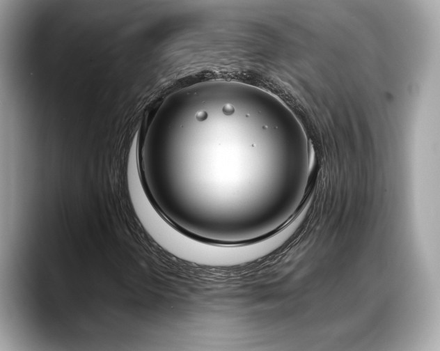 X0000088741298200705311440