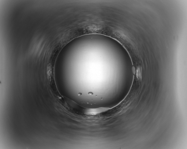 X0000088741299200705311440