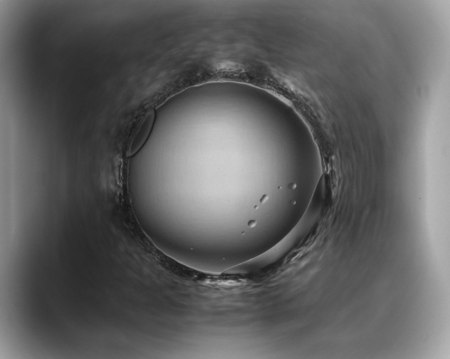 X0000088741301200705311440