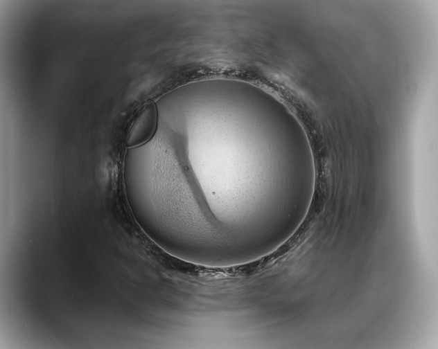 X0000088741302200705311440