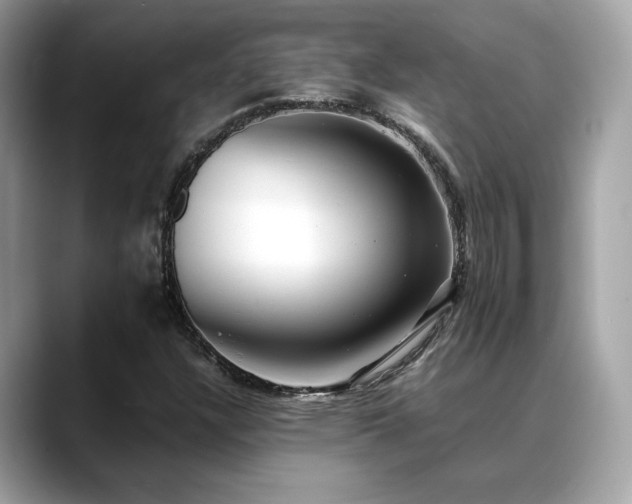 X0000088741304200705311440