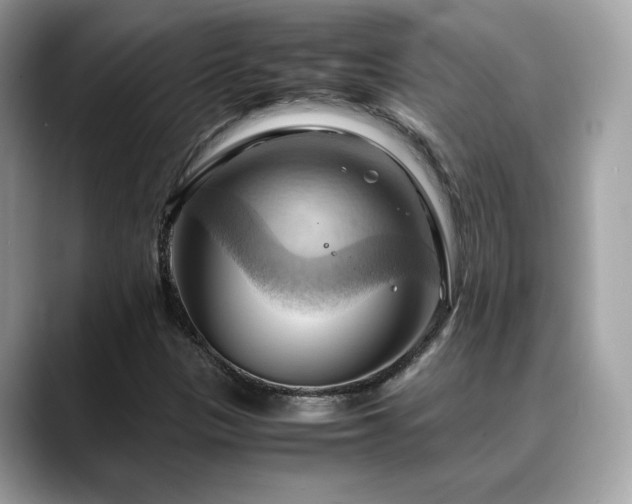 X0000088741305200705311440