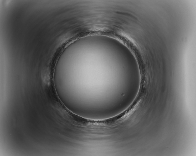 X0000088741306200705311440