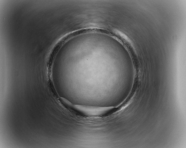 X0000088741310200705311440
