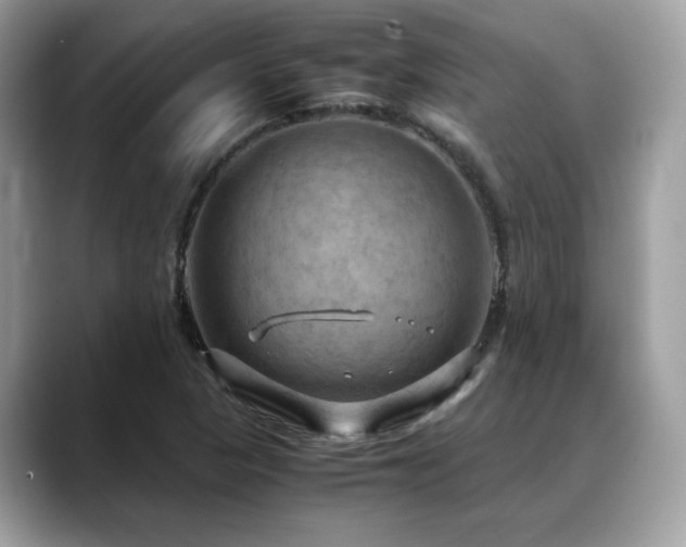 X0000088741313200705311440