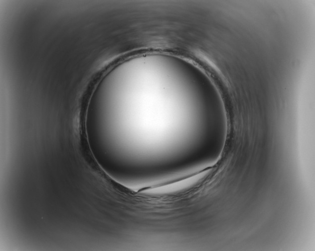 X0000088741315200705311440