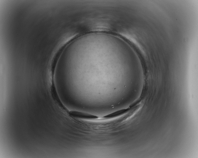X0000088741317200705311440