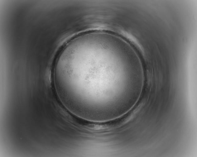 X0000088741318200705311440