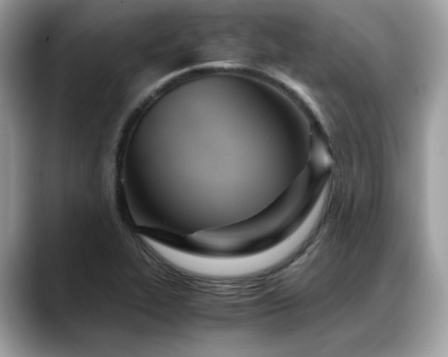 X0000088741319200705311440