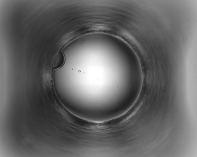 X0000088741321200705311440