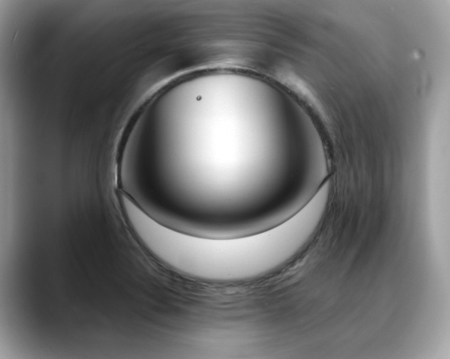 X0000088741324200705311440