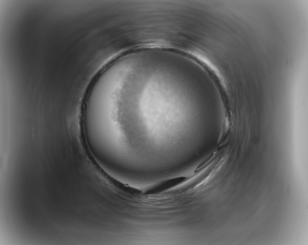 X0000088741325200705311440
