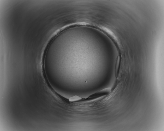 X0000088741327200705311440