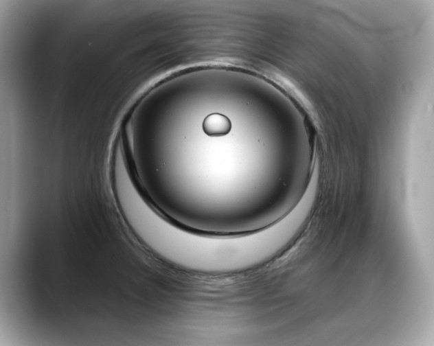 X0000088741332200705311440