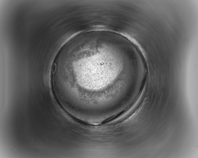 X0000088741333200705311440